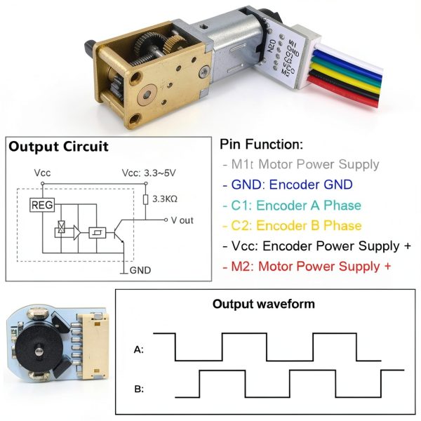 2Pcs DC 12V 16RPM Φ3x10mm Double Shaft N20 Worm Gear Motor with Encoder, 3-12V 4-381RPM Best for Automation and Robotics (12-16)-3